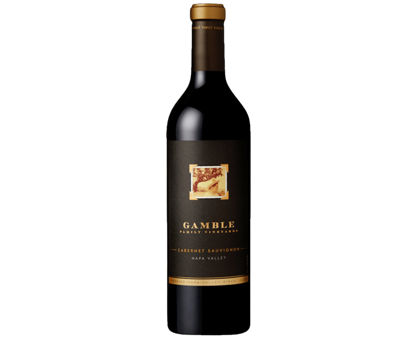 Gamble Family 2018 Cabernet Sauvignon, Napa Valley