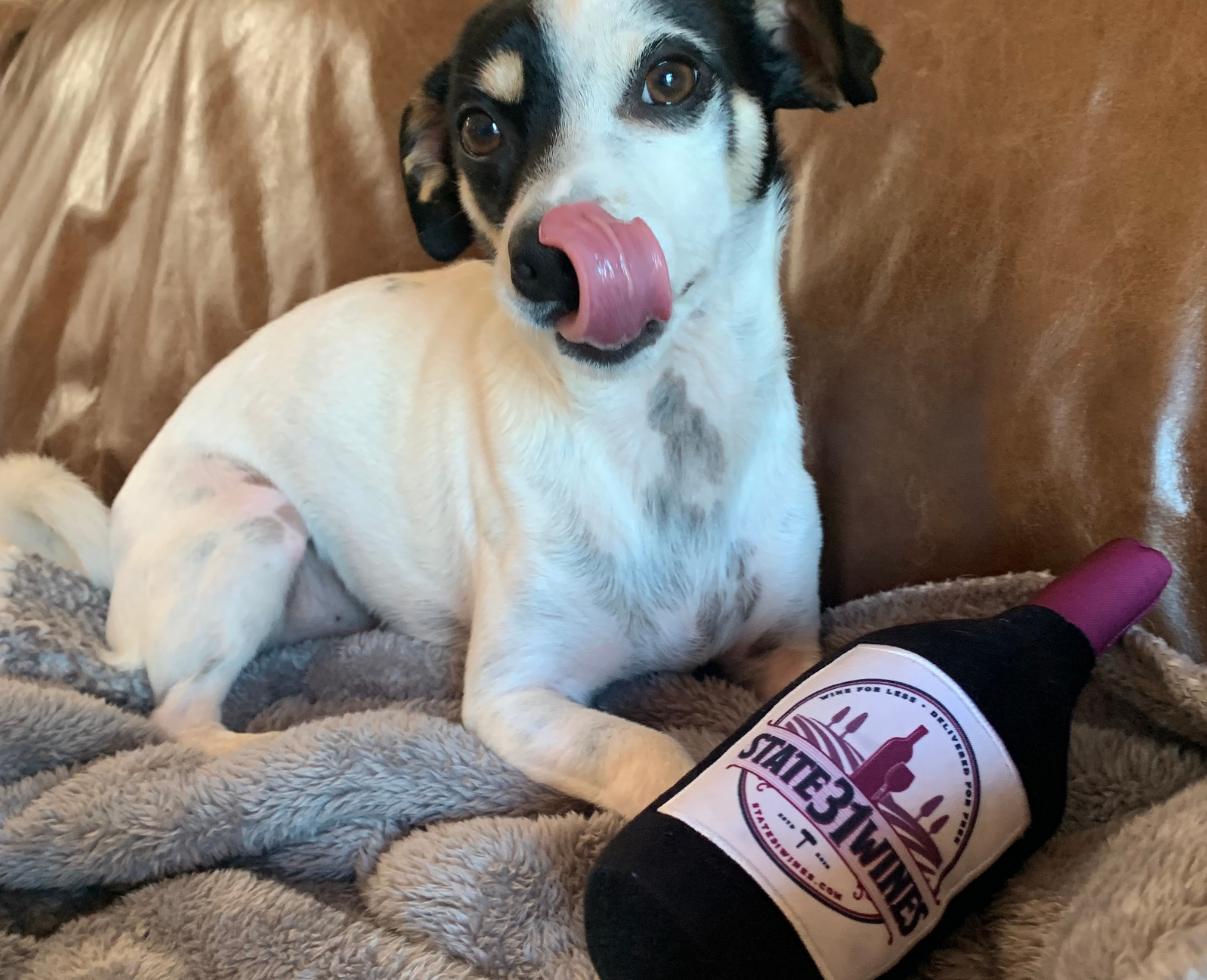 Wine Bottle Squeaky Toy